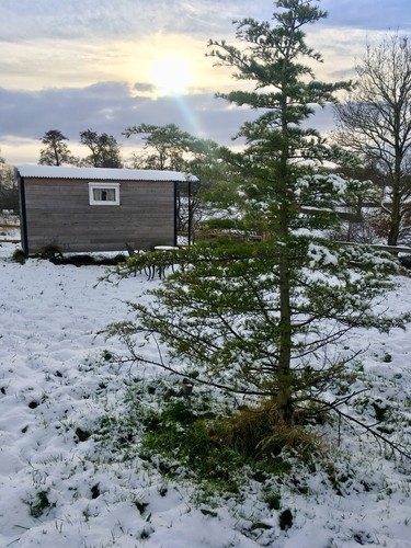 Shepherds hut home office - hut,